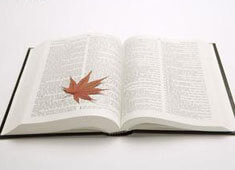 热刺主场奏凯，胜利凯歌响彻白鹿巷！