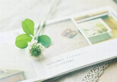 绿茵逐梦，星耀未来：解码中国足球新星的崛起之路