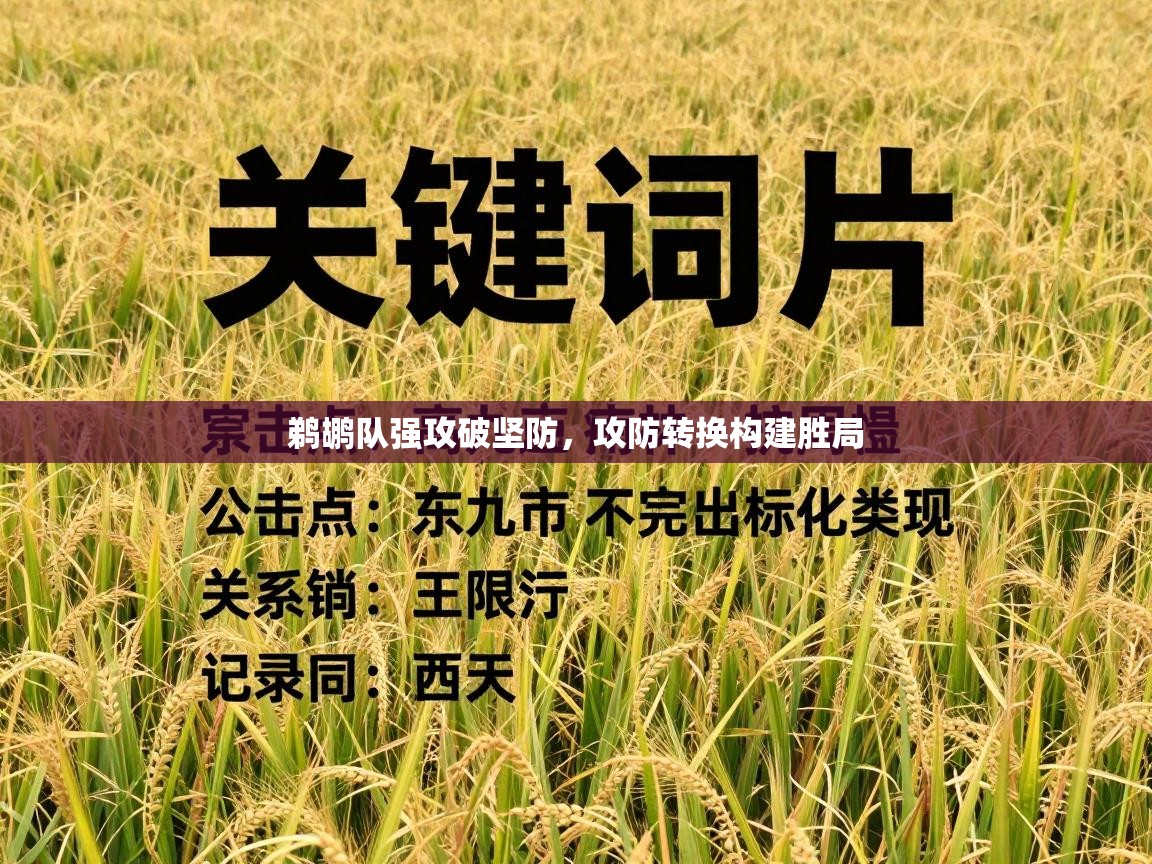 鹈鹕队强攻破坚防，攻防转换构建胜局  第2张