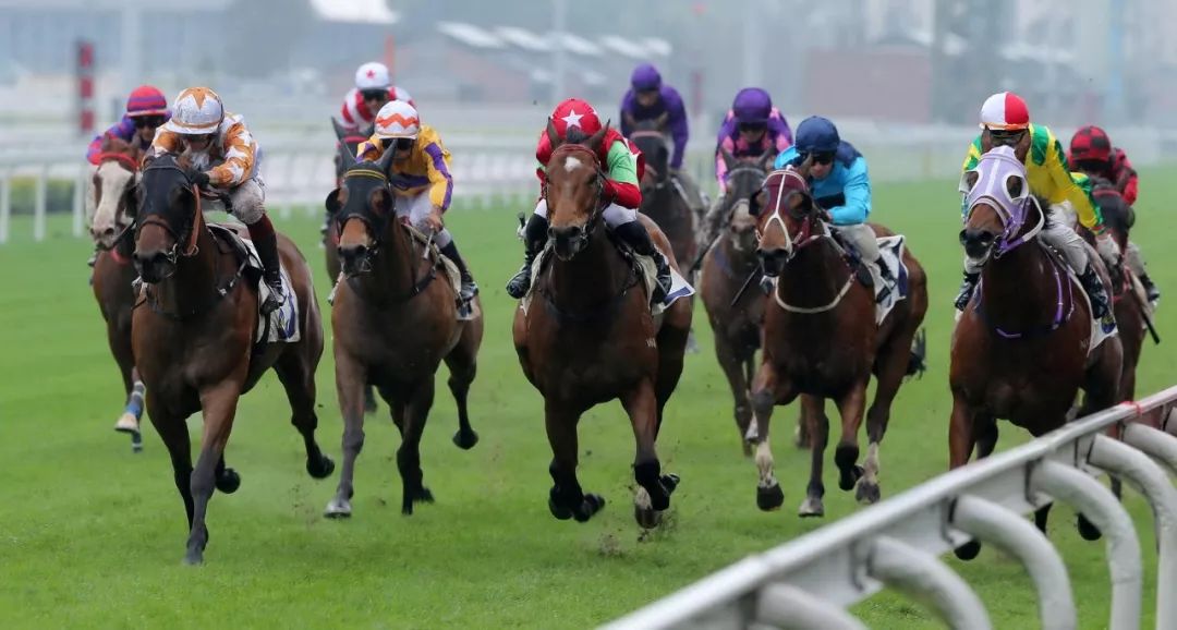 关于北京球队今季升降级形势,青年队表现不俗的信息 关于北京球队今季升降级形势,青年队表现不俗的信息